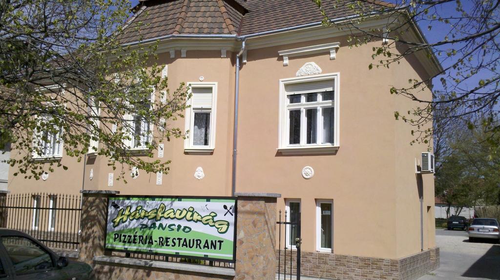 Hársfavirág Vendégház Pápa Esterno foto